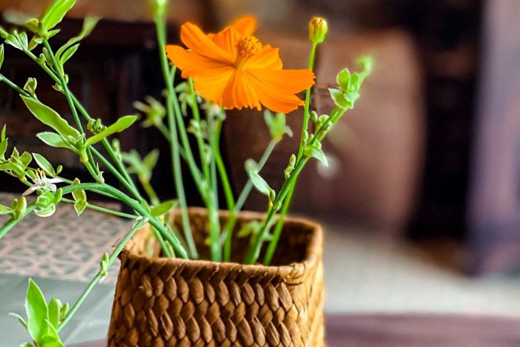 Tam Cốc Garden Resort